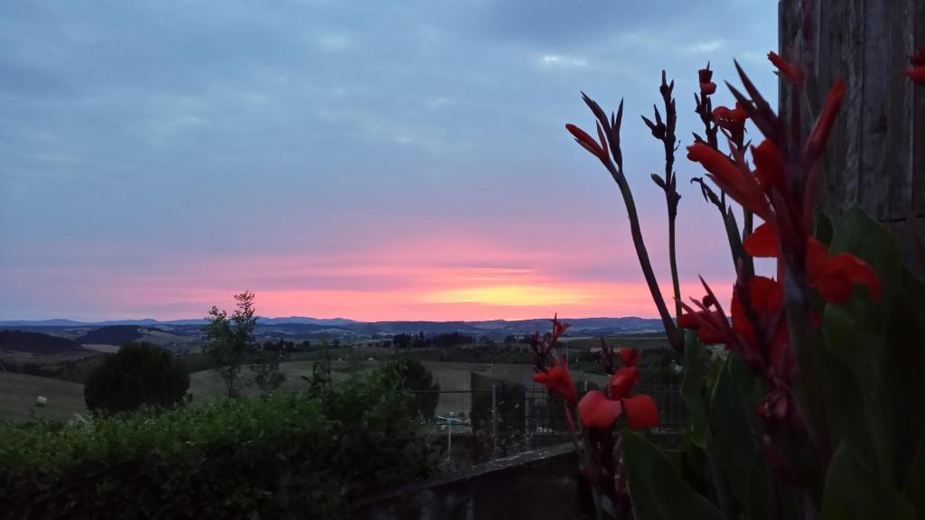 Agriturismo Marruchetone Vecchio Manciano Eksteriør billede